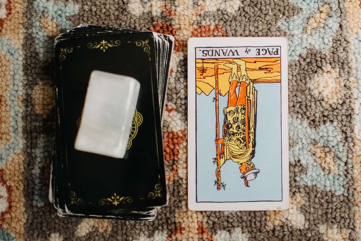Page of Wands tarot card in the reversed position.