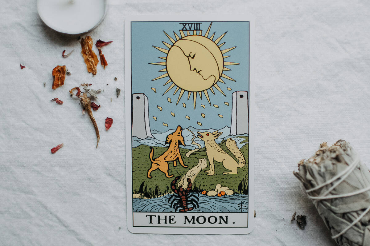 The Moon card depicts 2 dogs howling at the moon by a river.
